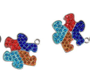 Autism Charms/Each