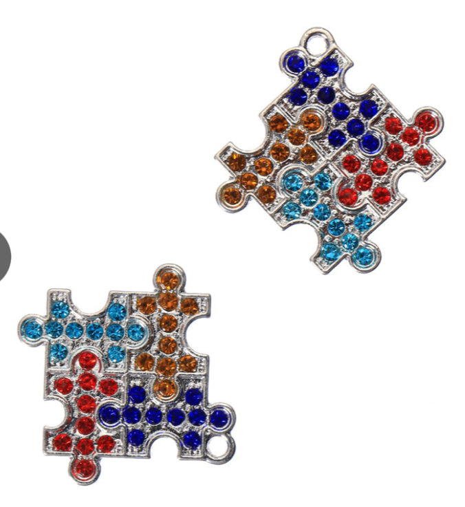 Autism Charms/Each